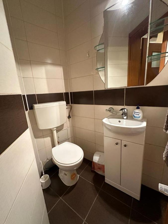 Central Apartment No1 تيميشورا المظهر الخارجي الصورة