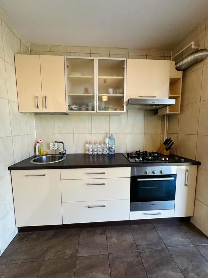 Central Apartment No1 تيميشورا المظهر الخارجي الصورة